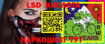 ПСИЛОЦИБИНОВЫЕ ГРИБЫ Пугачёв